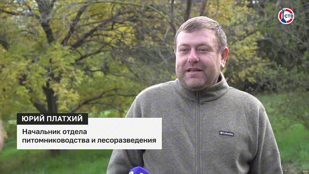 Полезные каникулы: ученики класса школьного лесничества отправились на экологический урок в лесной питомник