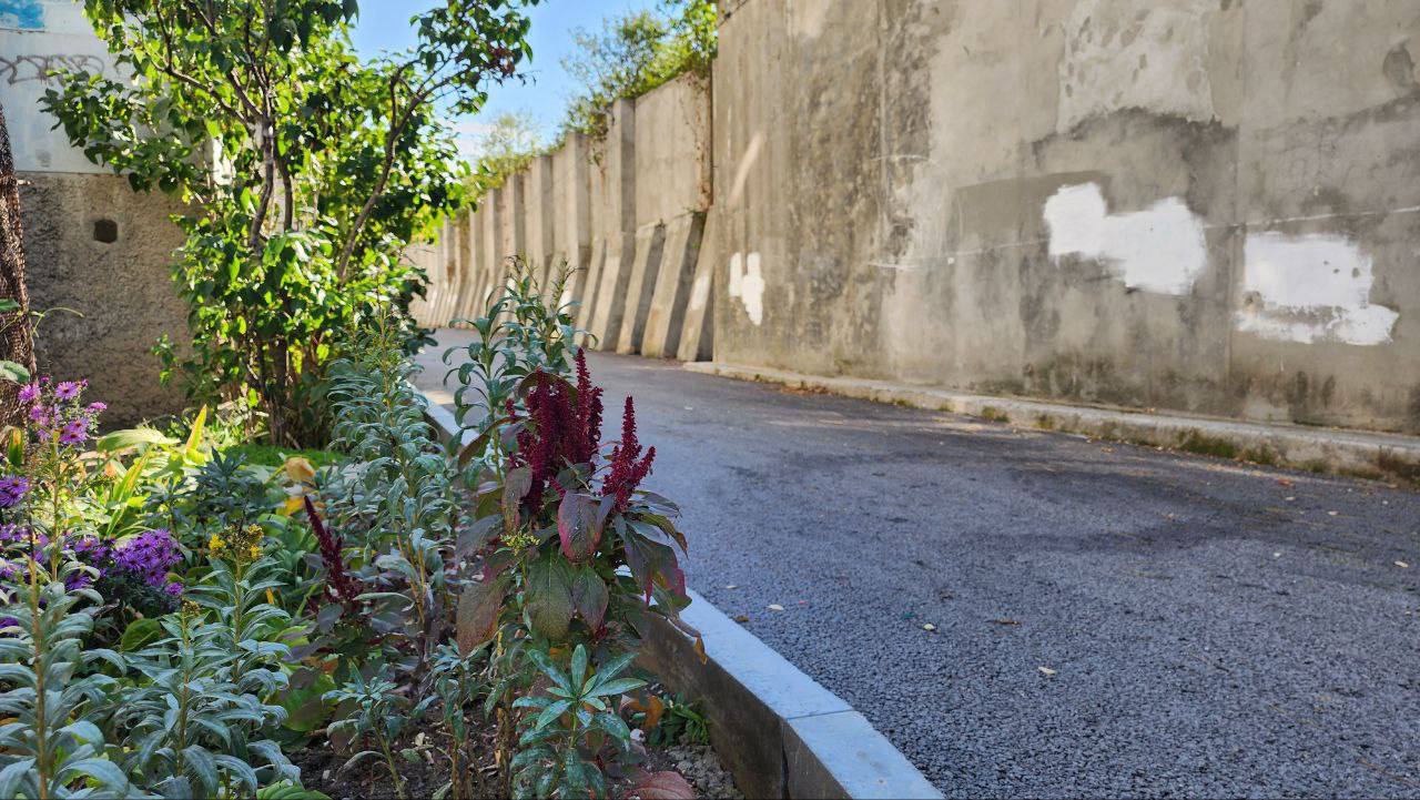 Более 89 тысяч квадратных метров пешеходных зон и дорог во дворах привели в порядок с начала года в Севастополе Более 89 тысяч квадратных метров пешеходных зон и дорог во дворах привели в порядок с начала года в Севастополе