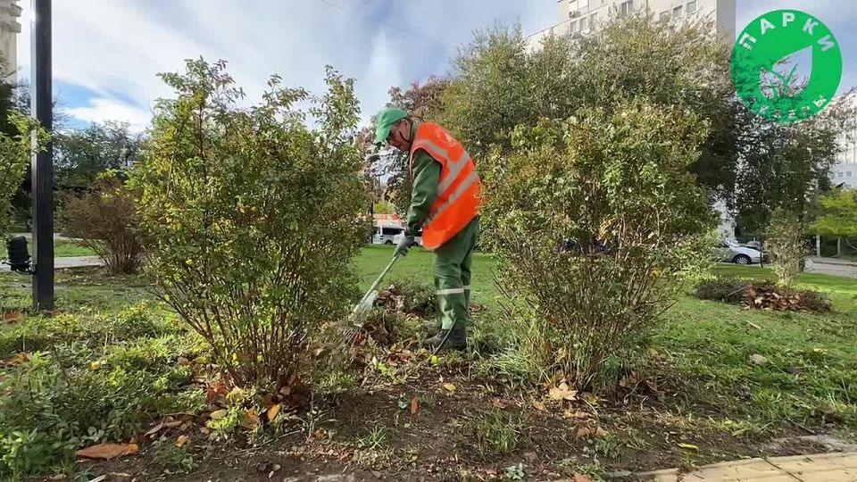 �������� � ������ ������ ������� �������� ������� ����