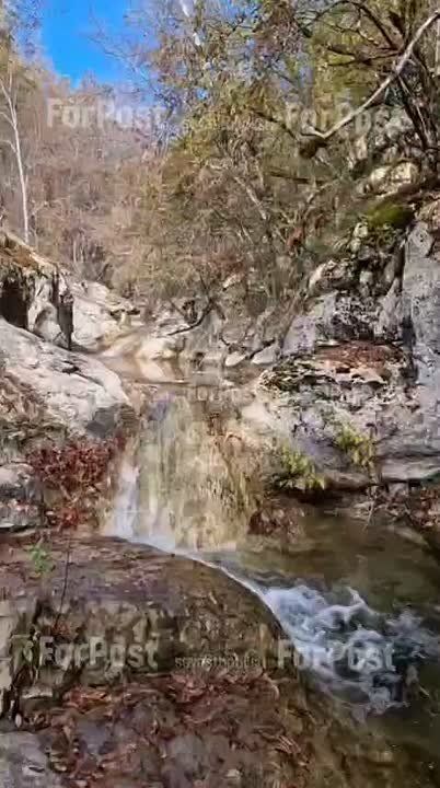 ������� ����. � �� �����, ��� � ������������ ����������� ���� ����� ����?:) ForPost/ ForPost � MAX