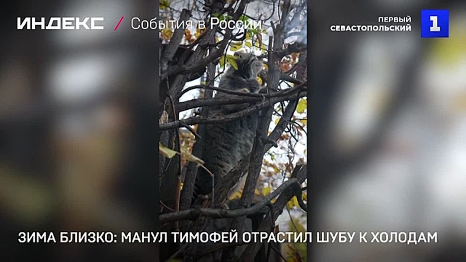 ����� ������� �������� ���� � �������