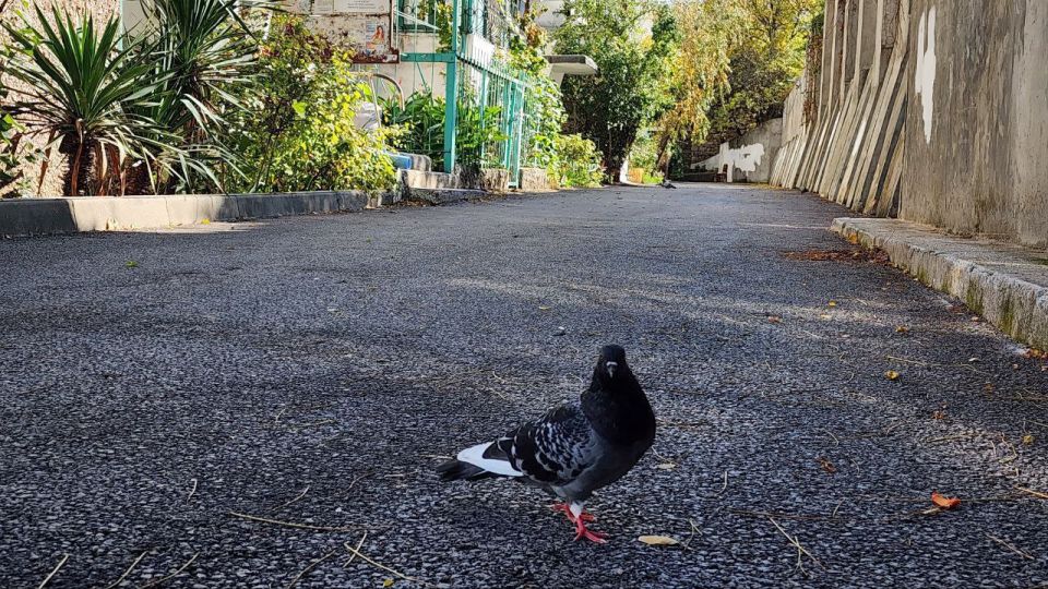 ��������� ������ �� ������������ ��������������� ����� ��� ������� ����� �21 � �23 �� ����� ��������