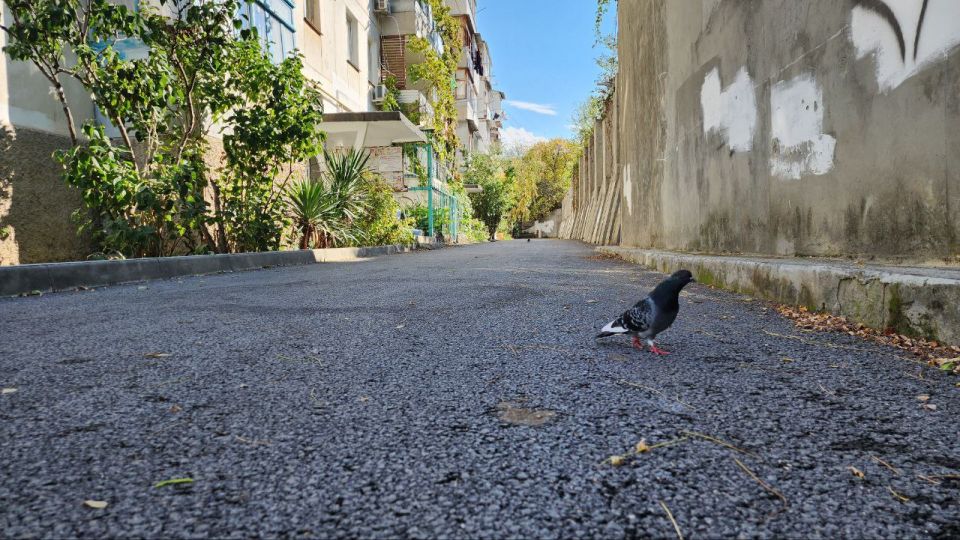 ����������� ��������������� ����� �� ����� �������� �� ����� ����� 21 � 23