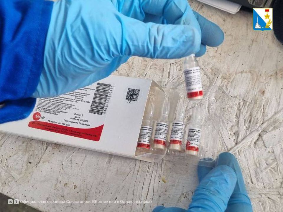 ����������� �������� �����