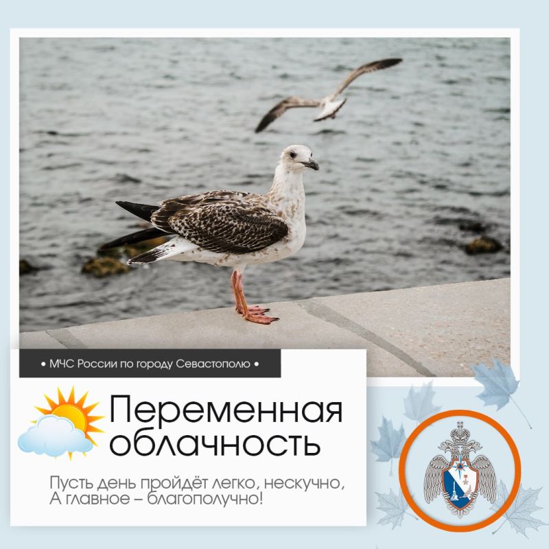 ������ ����, �����������!. �� ������ ��������������, 29 ������� � ����������� ����� ���������� ����������