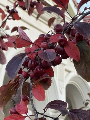 Всем доброго октябрьского утра
