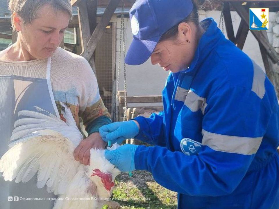 ����������� �������� �����