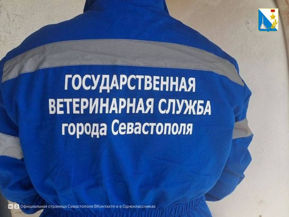 ����������� �������� �����