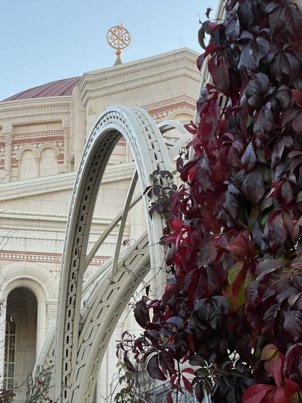 ���� ������� ������������ ����