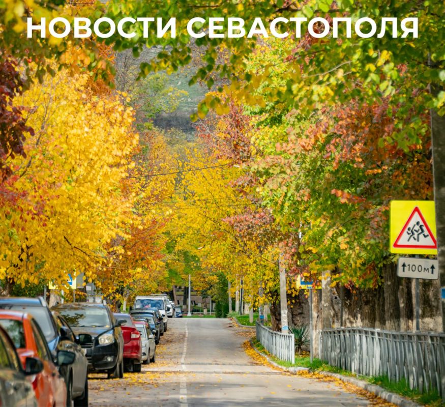  :   :.   :         89         