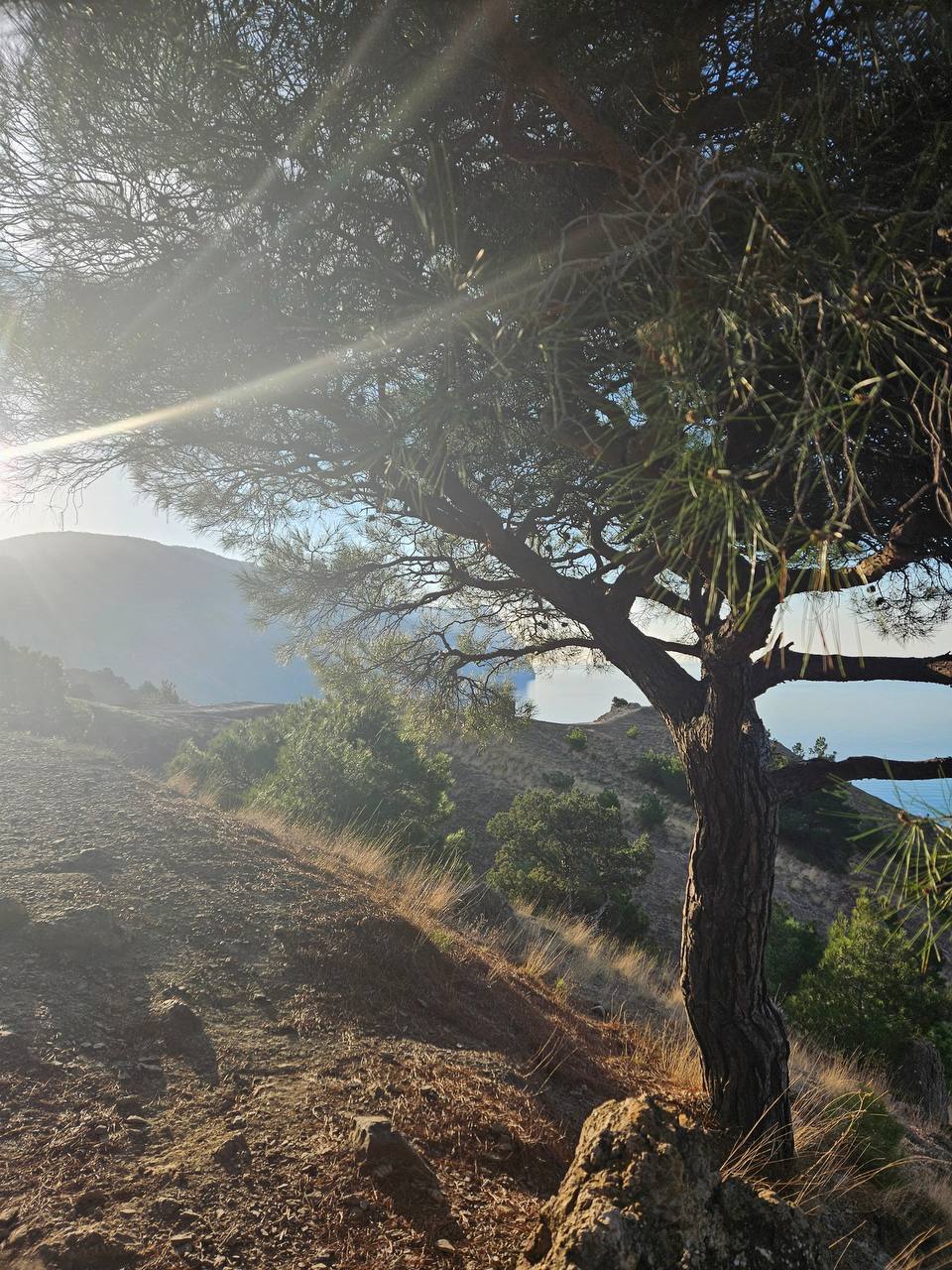 Михаил Развожаев: Сегодня десять лет Большой Севастопольской тропе Михаил Развожаев: Сегодня десять лет Большой Севастопольской тропе