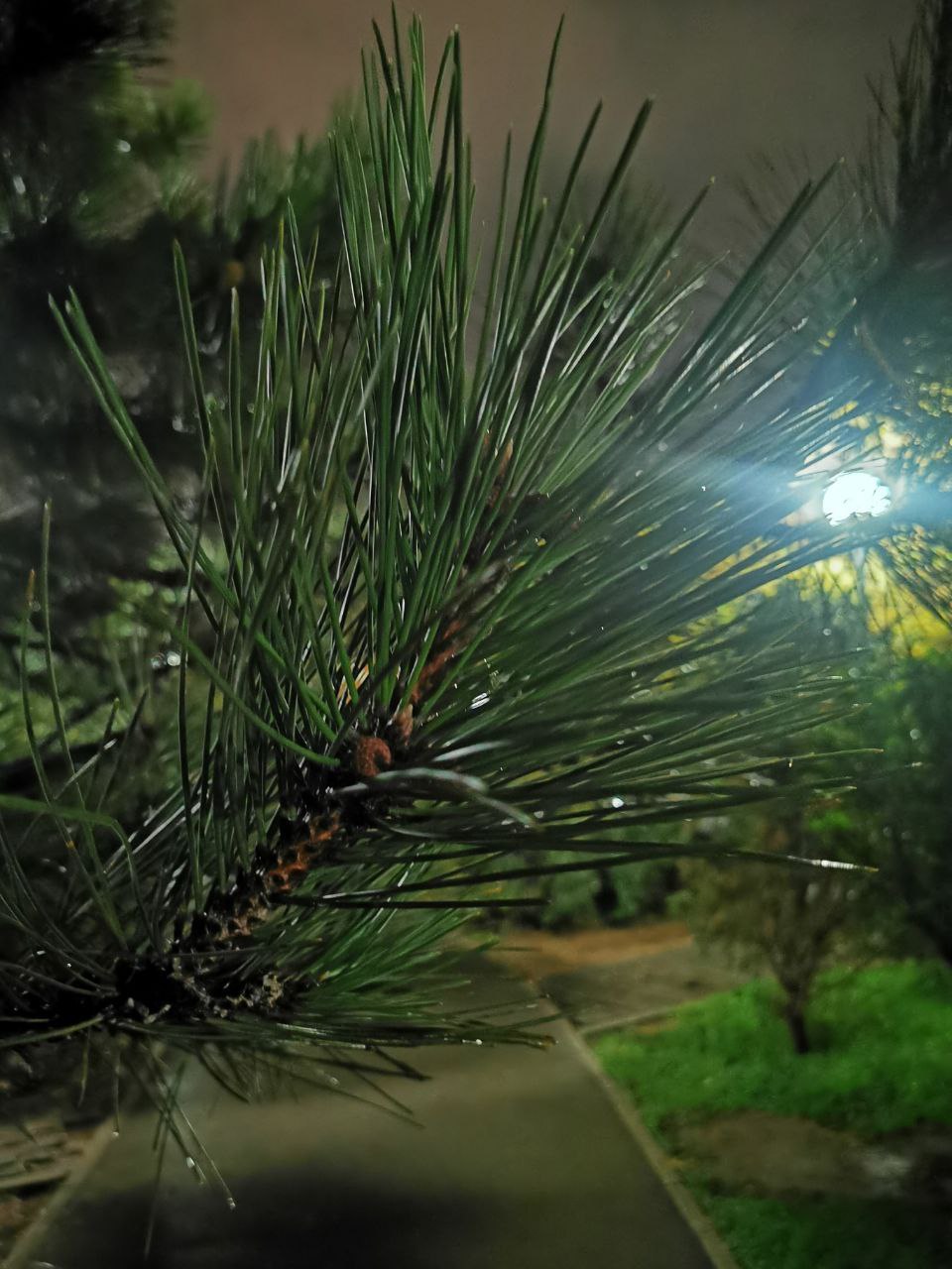 Доброго вечера, севастопольцы! Доброго вечера, севастопольцы!