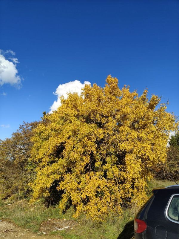 ���� ������� ����, ������!