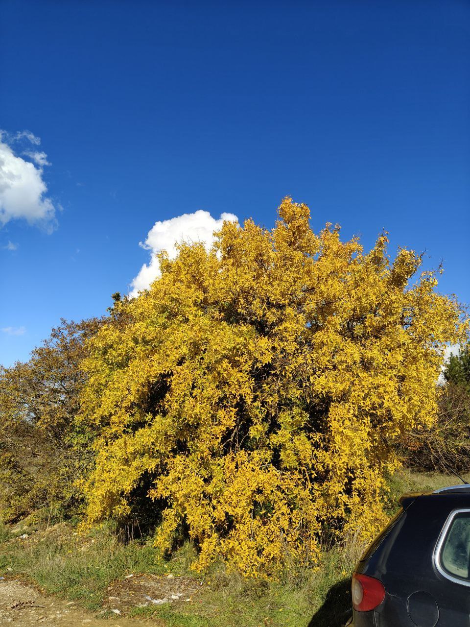 Всем доброго утра, друзья! Всем доброго утра, друзья!