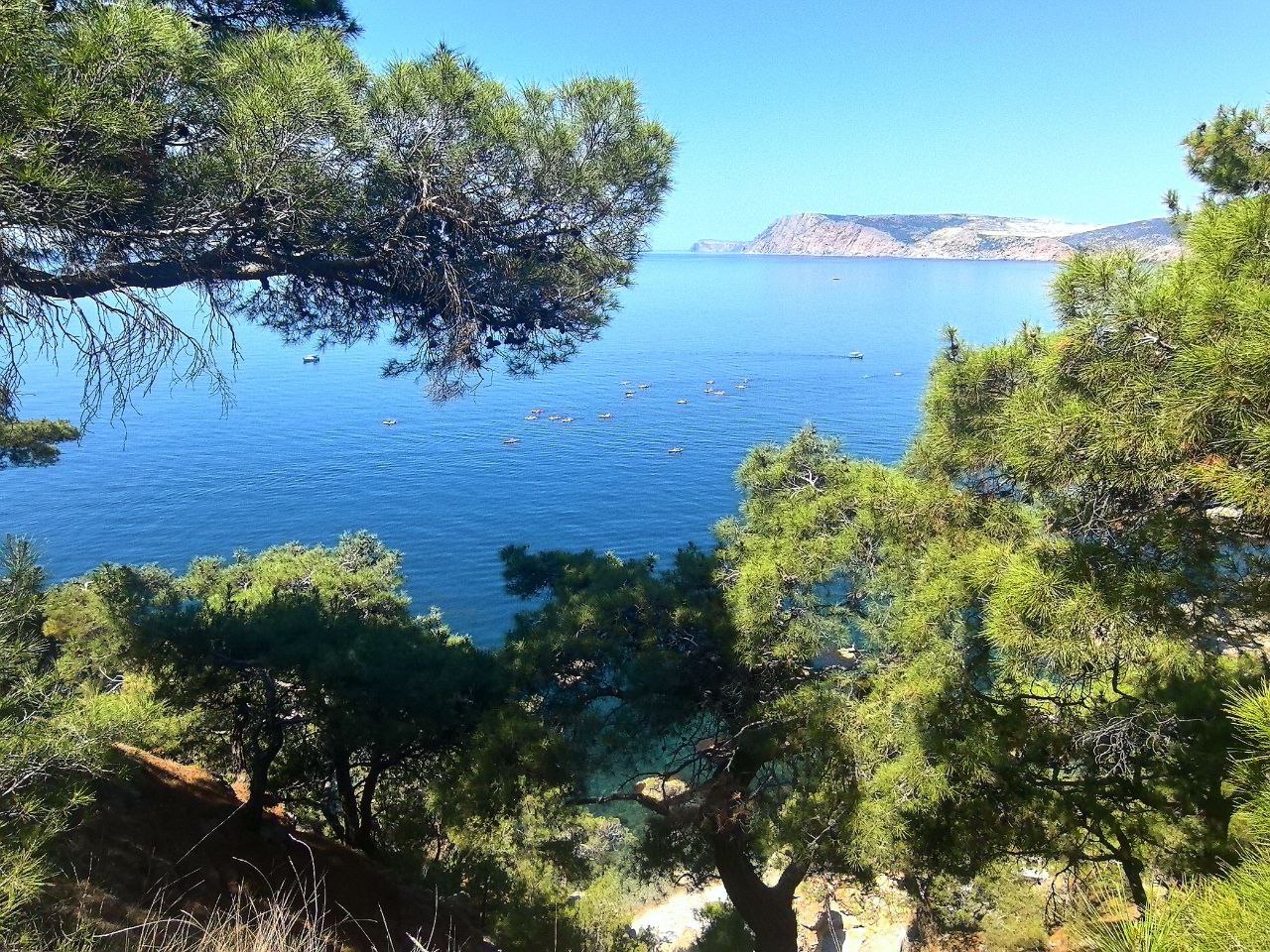 Михаил Развожаев: Сегодня десять лет Большой Севастопольской тропе Михаил Развожаев: Сегодня десять лет Большой Севастопольской тропе