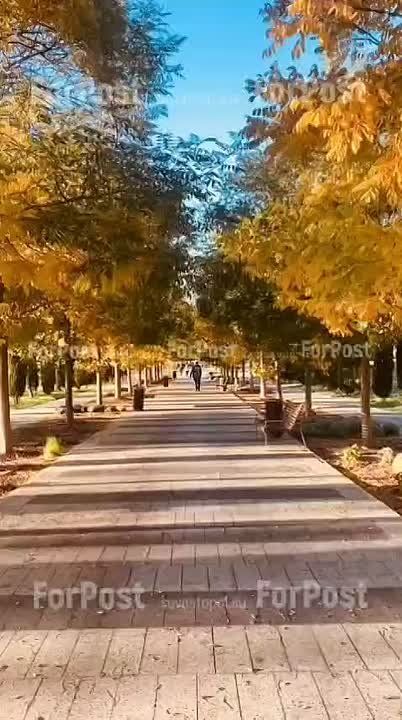 ���� � �������� ������ � ������� � ������ ��� ��� �� ���������, ��� � �����