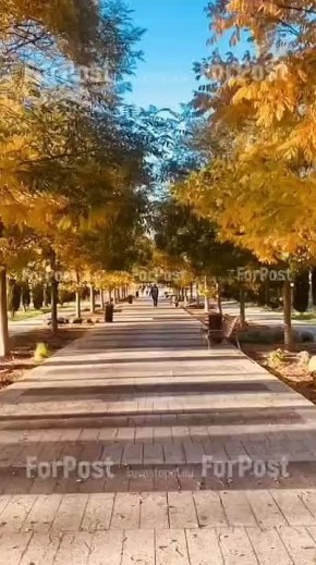 Парк в Учкуевке оделся в осеннее и сейчас там так же прекрасно, как и летом