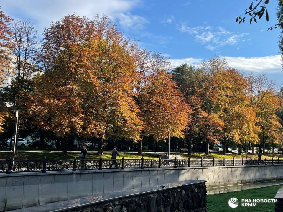 ������� ������ � ����� �� �������