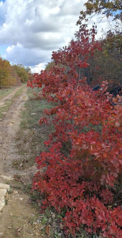 ���� ������� ����, ������!