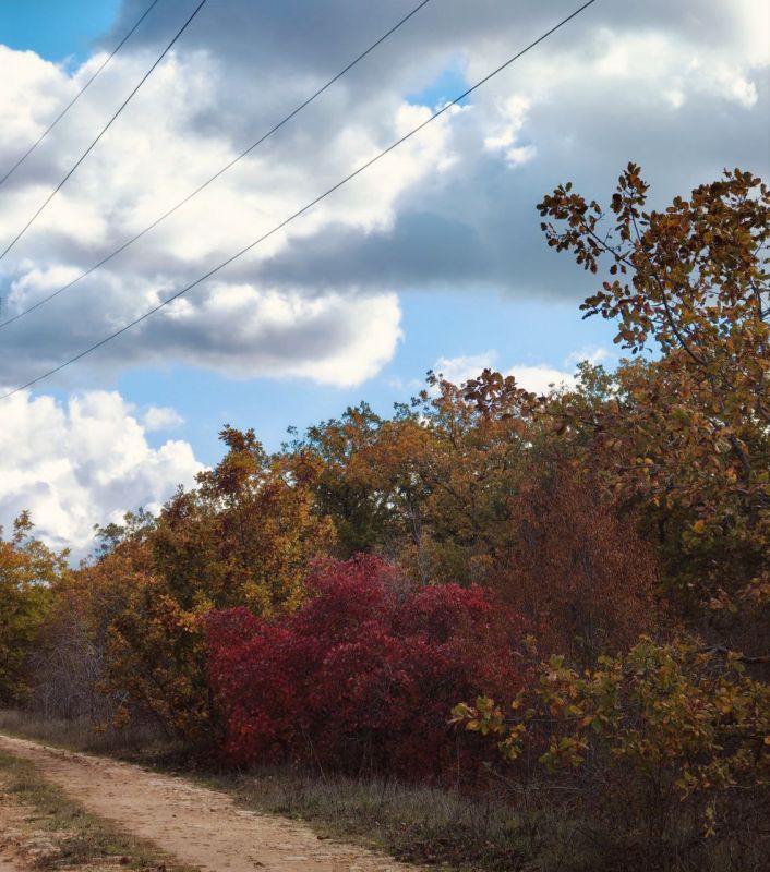 ���� ������� ����, ������!