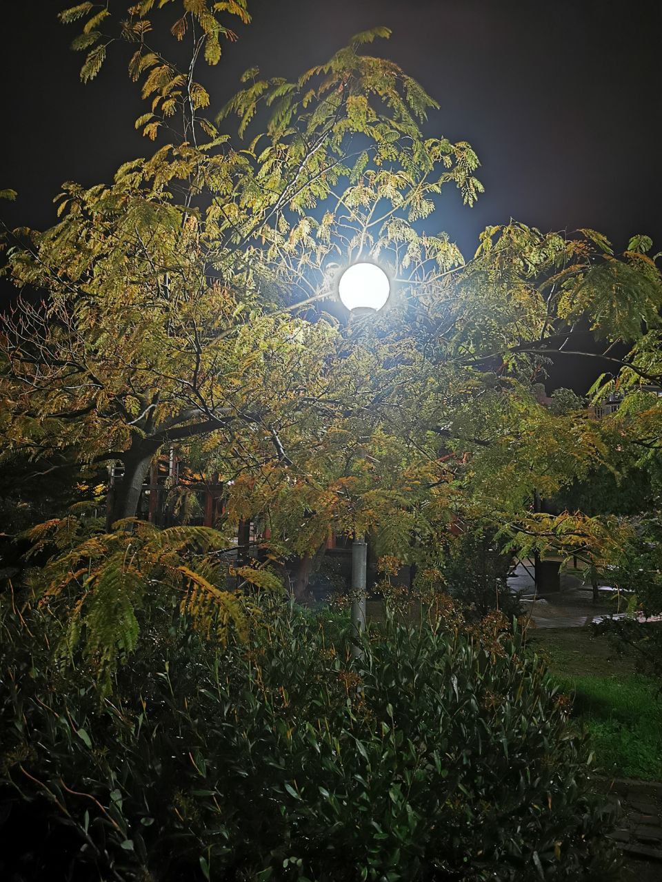 Доброго вечера, севастопольцы! Доброго вечера, севастопольцы!