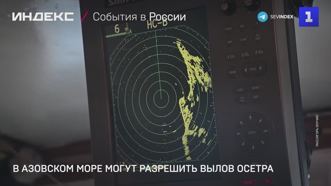 В России могут снова разрешить коммерческий вылов осетра в Азовском море