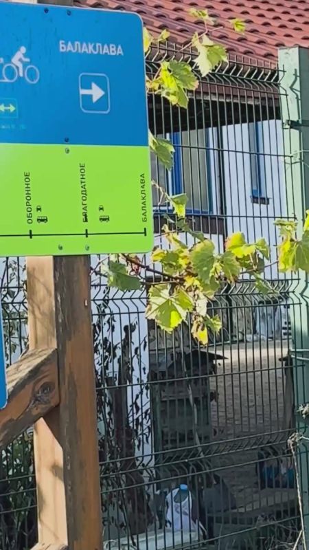 10 ��� ����� ����������� ���� ��� ��������� ��������� � ������� ��������������� �����!