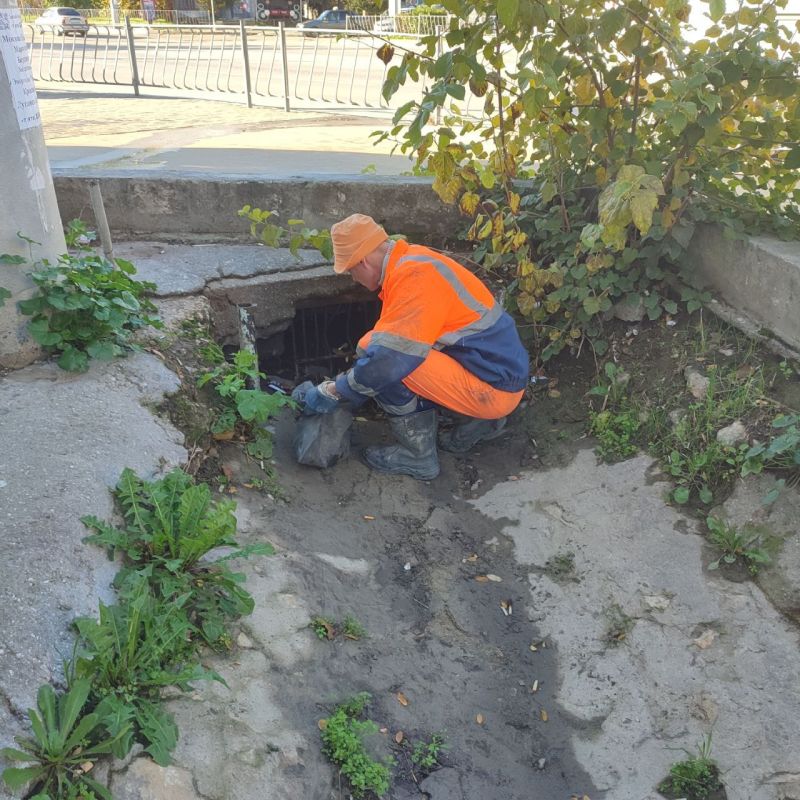 ���������: ������� �������. ������ �� ������� �������� ������ � ������� ���������������