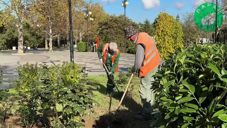 ����������� ������� � ������� ������� � ������� ����� �������� � ������ ������ ����������� ������� ��������