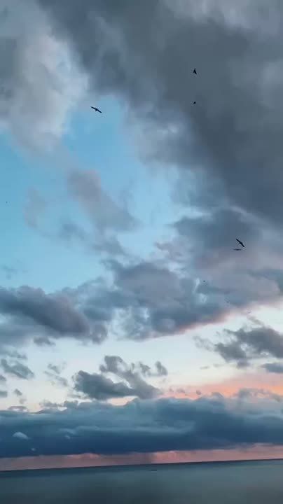 Сегодня отмечается Международный День Чёрного моря!