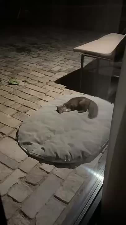 ������������ �� ����� ������� ������ �������� ��������������� ������� ����� ����