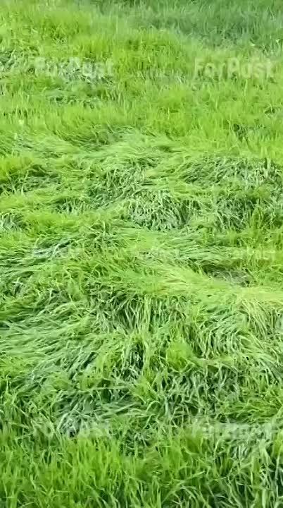 ����� ���� 2.0 � �����������. ��� ��� �������, ��� ������ 1 ������?