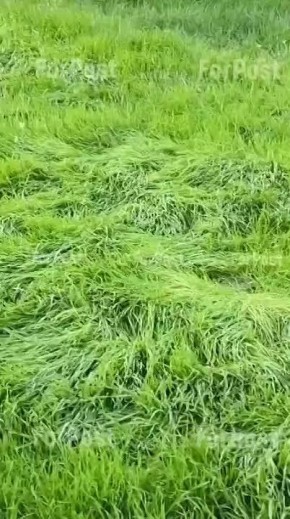 Бабье лето 2.0 в Севастополе. Вот кто поверит, что завтра 1 ноября?