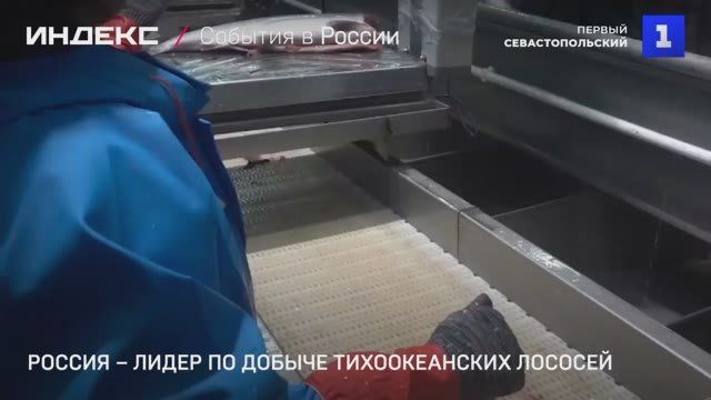 ������ � ������� ����� �� ������ ������������� �������