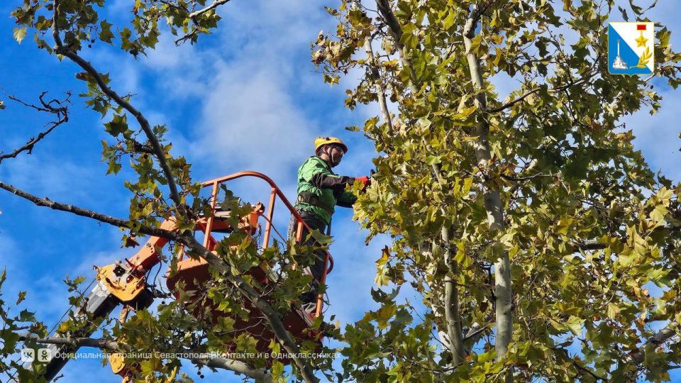 ������������� ��������� � ������ ������