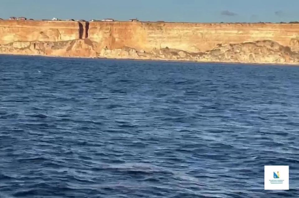 � ���� ��������, ���� ׸���� ����!