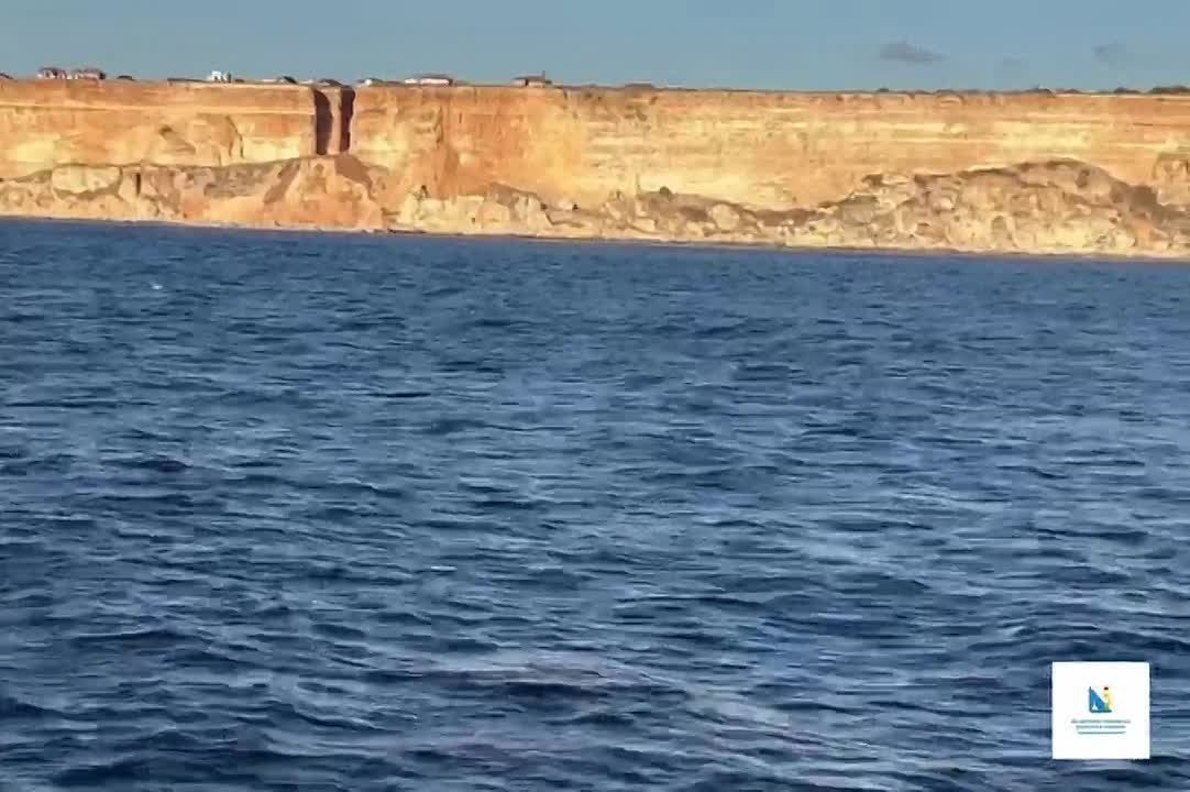 С Днём рождения, наше Чёрное море!