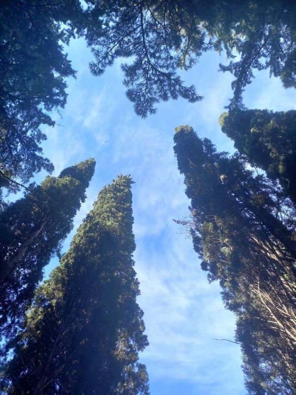 ���� ������� ���������� ����!