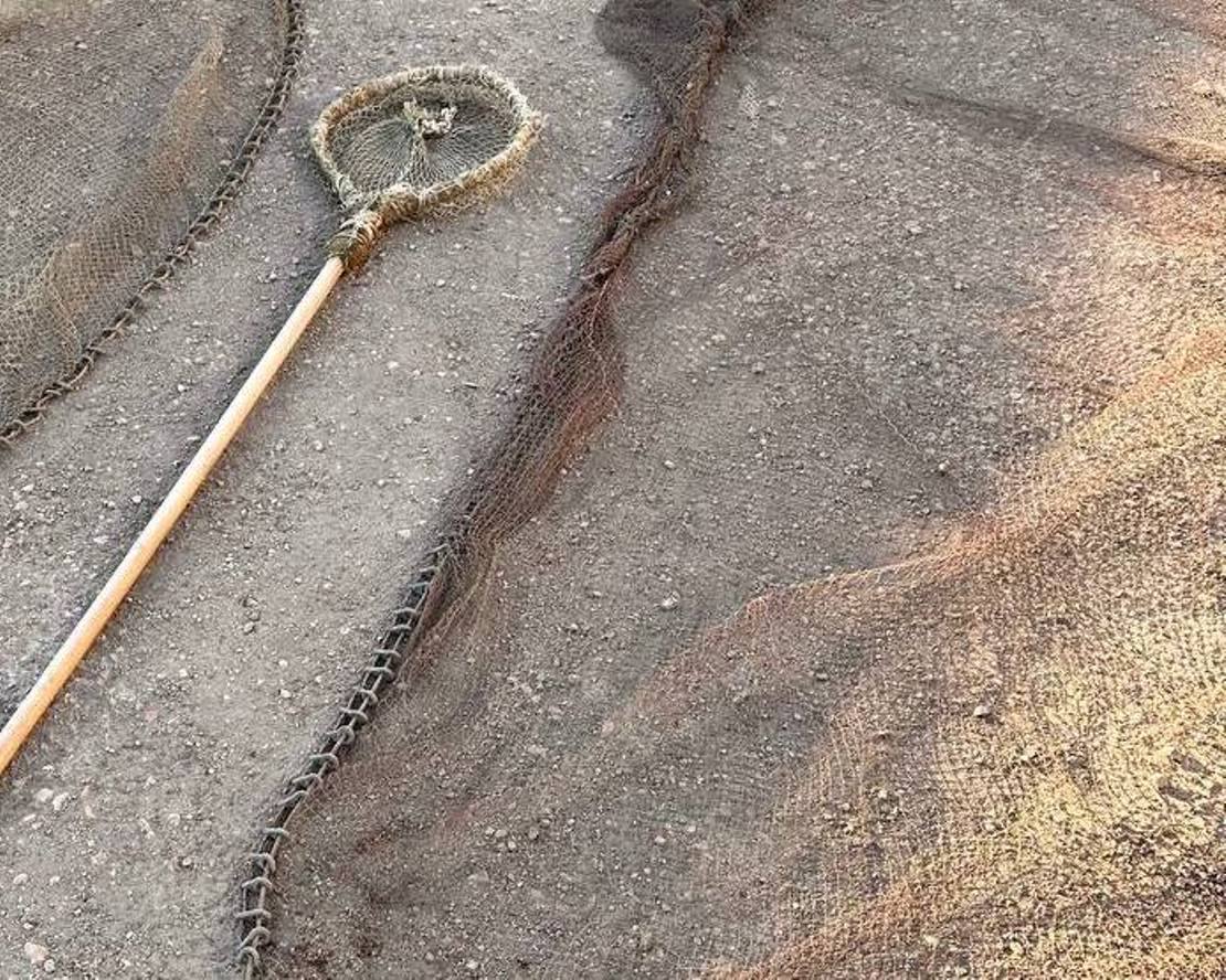 Ущерб на 7 миллионов: четверо севастопольцев незаконно добывали кефаль в огромных количествах Ущерб на 7 миллионов: четверо севастопольцев незаконно добывали кефаль в огромных количествах