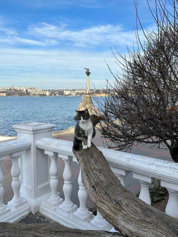 ������ ����, �����������!. ������ �� 31 �������: