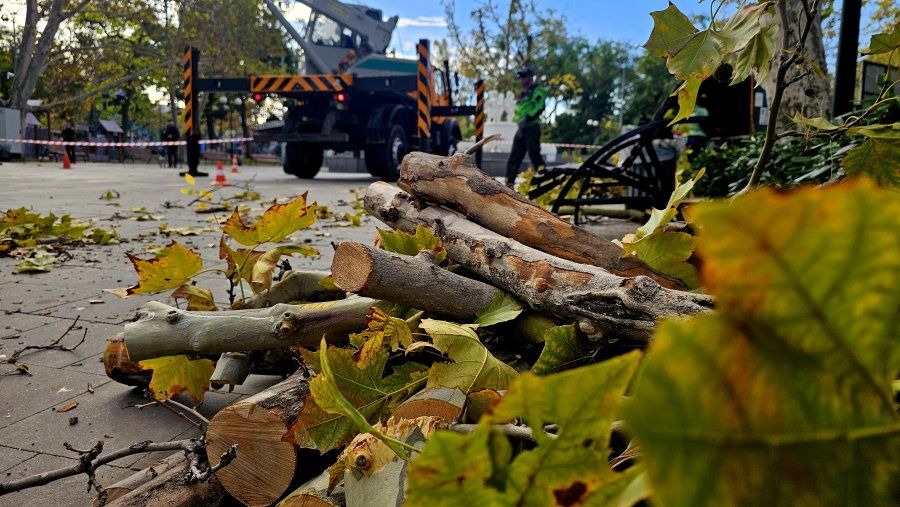 ��������� ������ ������� ������� � ������ ������