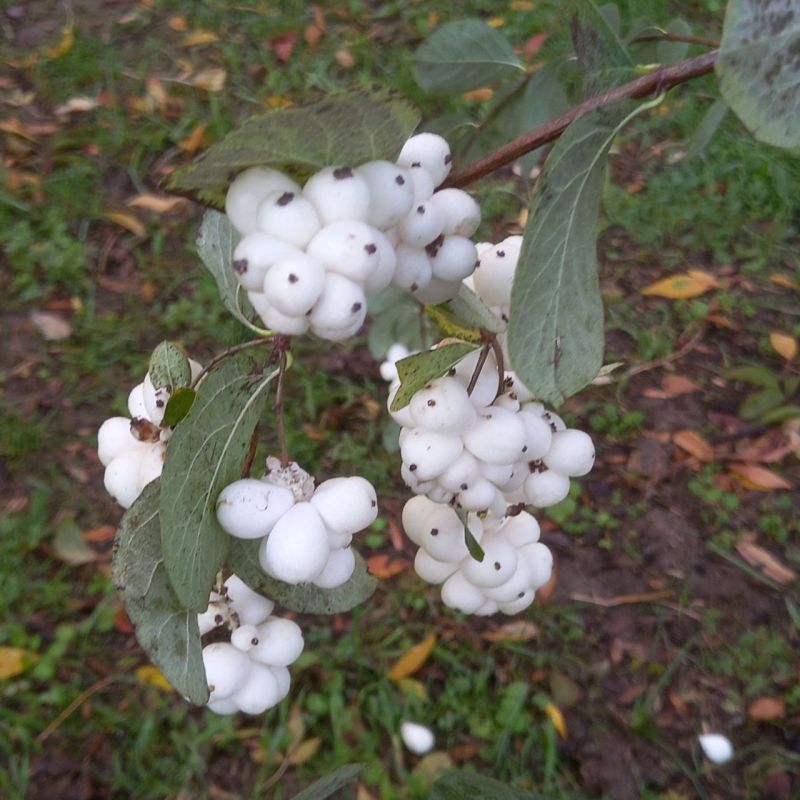 #��� �� ��������?. ���� ������������� ��������� ������ ����������� ��������� ����� ���������� ������