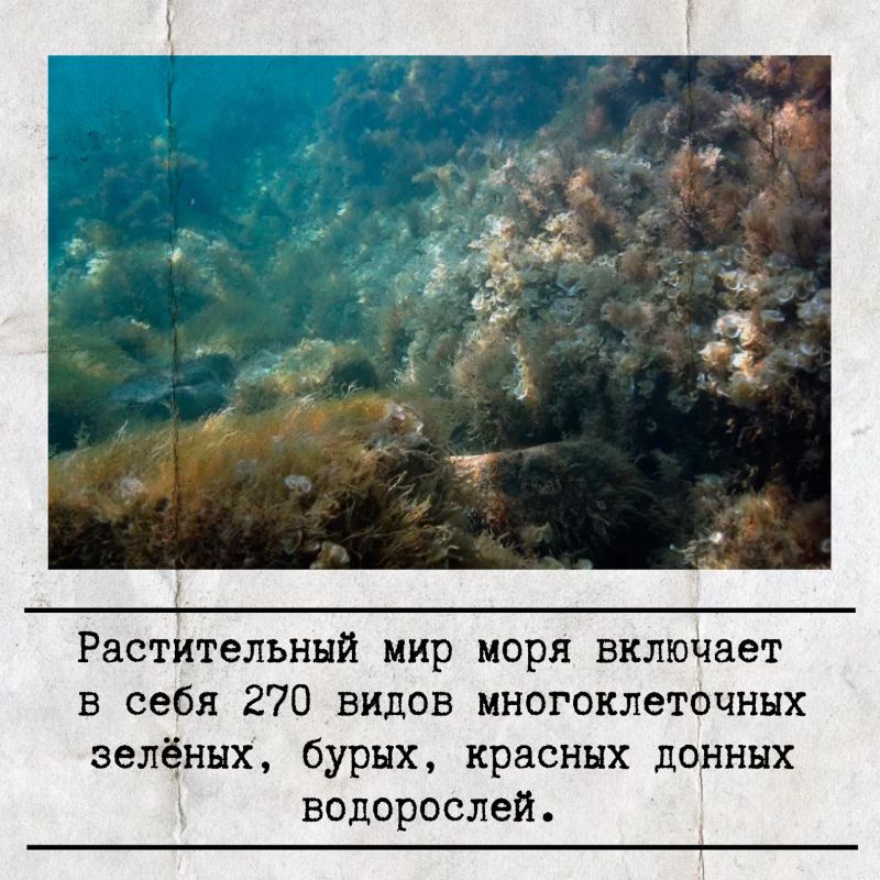 31 ������� ���������� ������������� ���� ׸����� ����