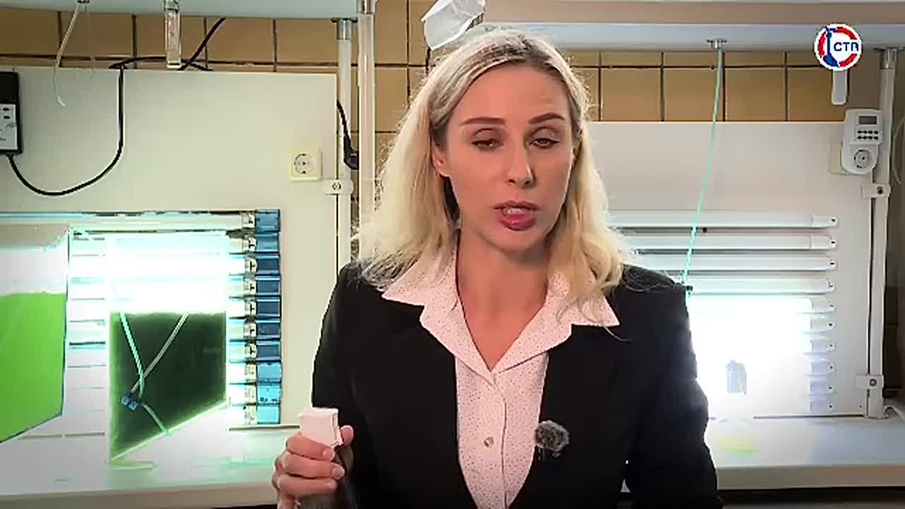 В Севастополе ученые выращивают спирулину высокого качества