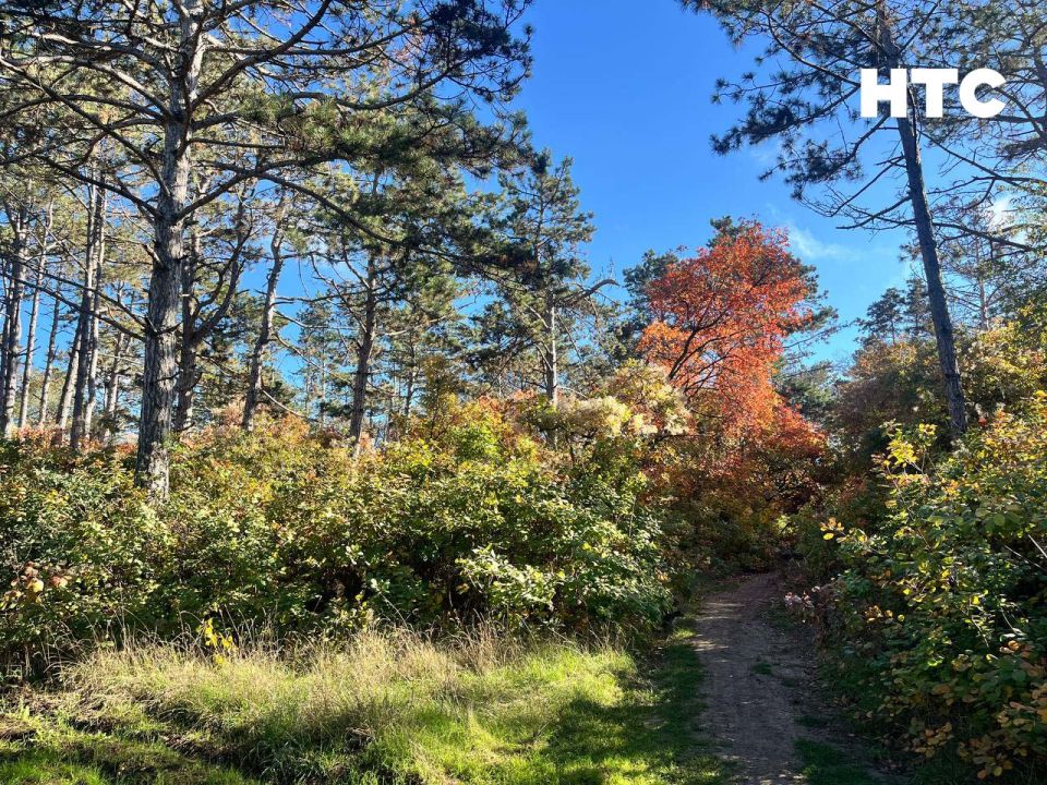 #���_�����. ��� ����� �������� � ���� ���������� ������� �����-���� ��������� ������, ������ � ���������