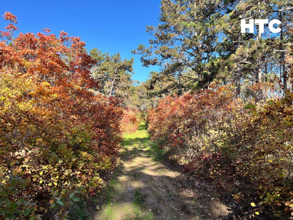 #���_�����. ��� ����� �������� � ���� ���������� ������� �����-���� ��������� ������, ������ � ���������