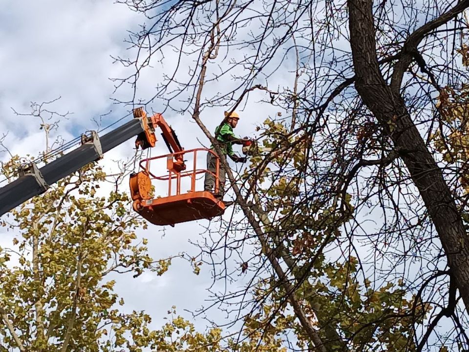 ������� ����������� ��������� ������� ����� ����� � ����� ����� ����� �����