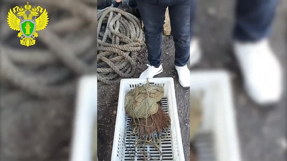 � ����������� � ��� ���������� ��������� ���� � ��������� ������� ������� �������, ������� ���������� � ���������� ������ ����� 10 ����� ����������� ������