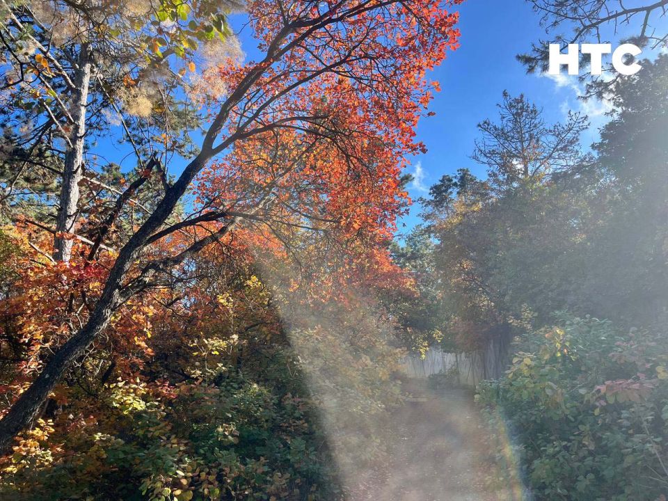 #���_�����. ��� ����� �������� � ���� ���������� ������� �����-���� ��������� ������, ������ � ���������