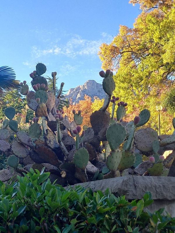 ���� ������� ���������� ����!